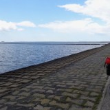 1406F 133 Nordseekuesten Radweg